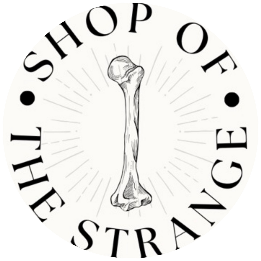 Shop of the Strange