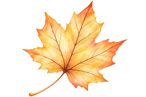 Golden Leaf